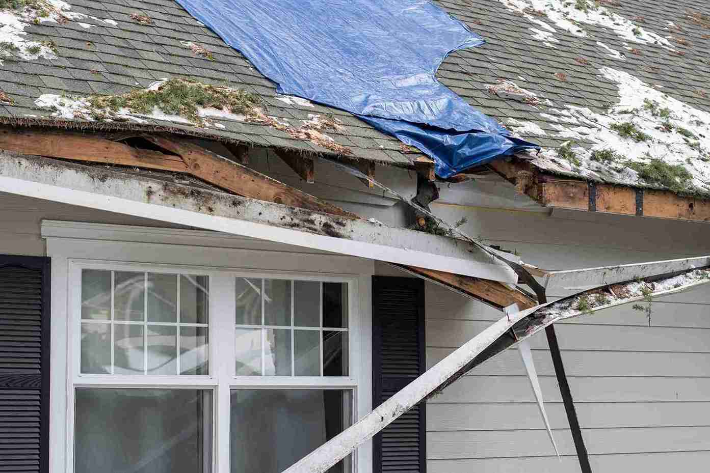 california landlord tenant law